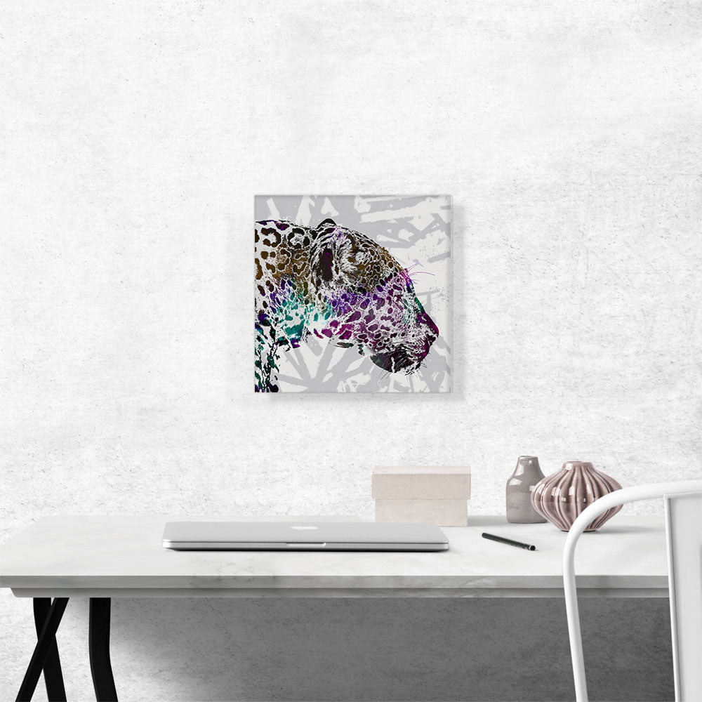 Jaguar Home decor