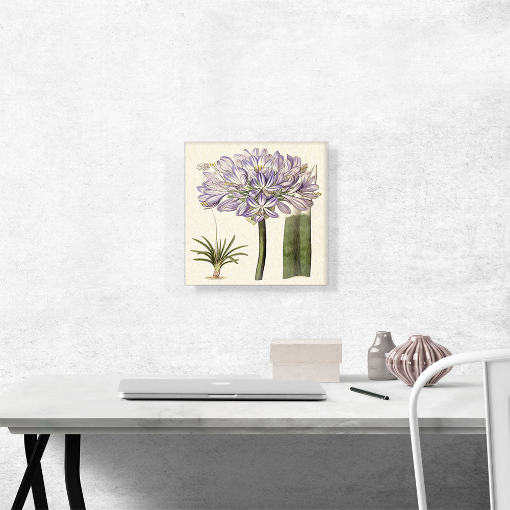 Purple Flowers