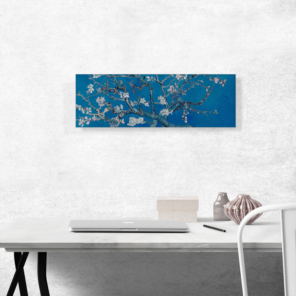 Branches with Almond Blossom - Blue Panoramic