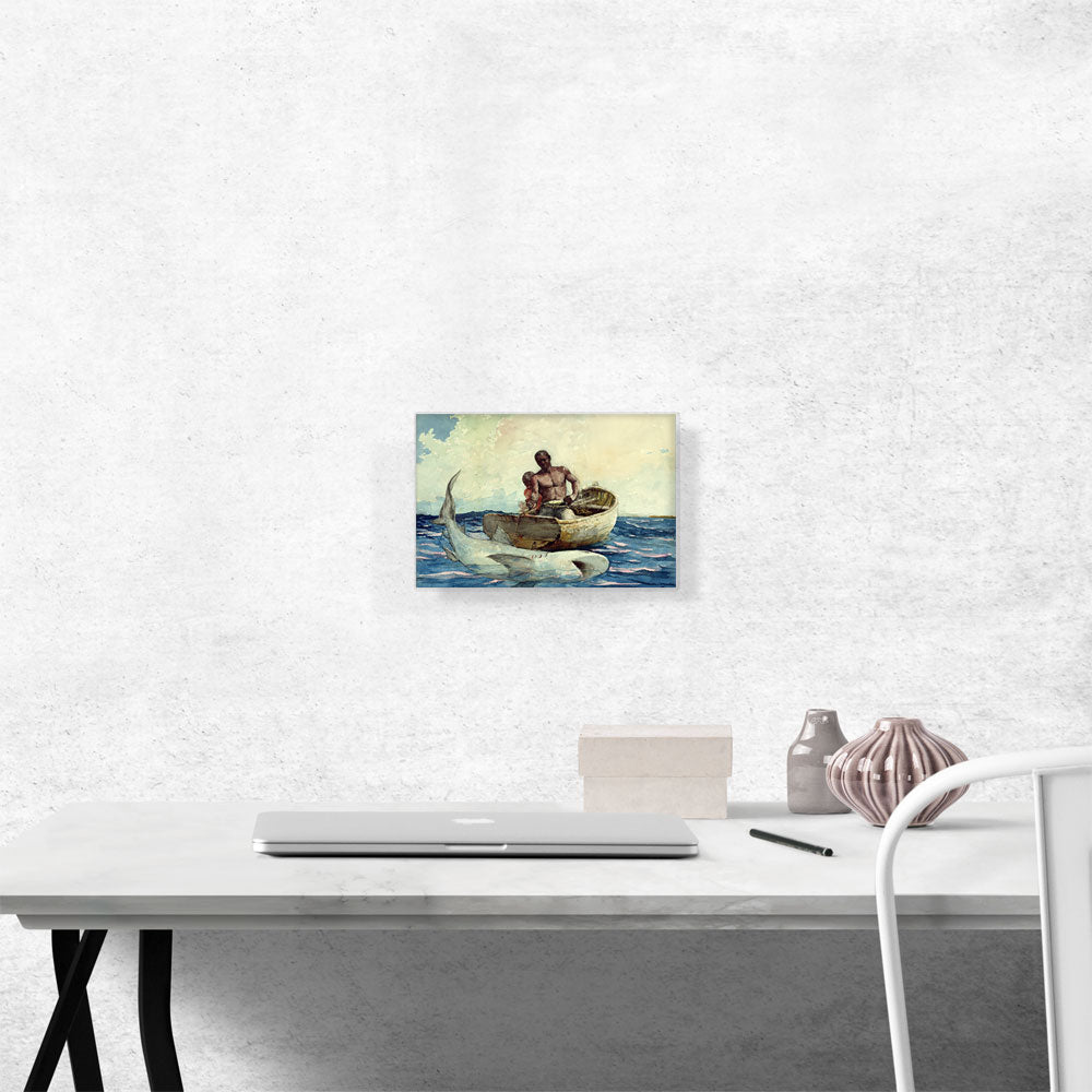 Shark Fishing 1885