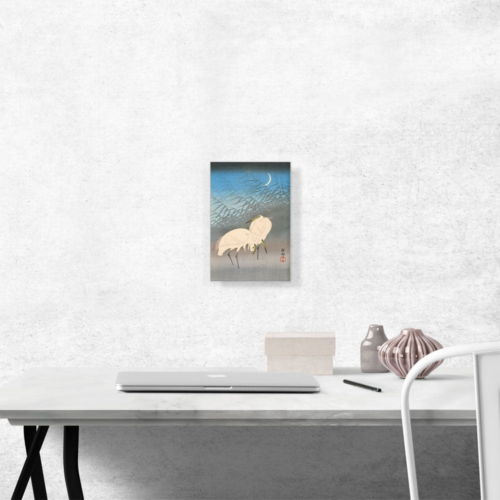 Egrets and Reeds in Moonlight