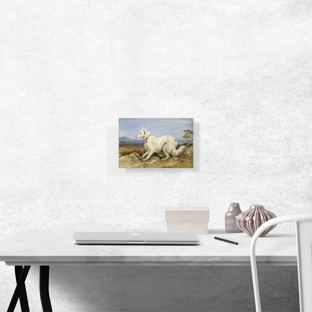 White Collie in a Landscape