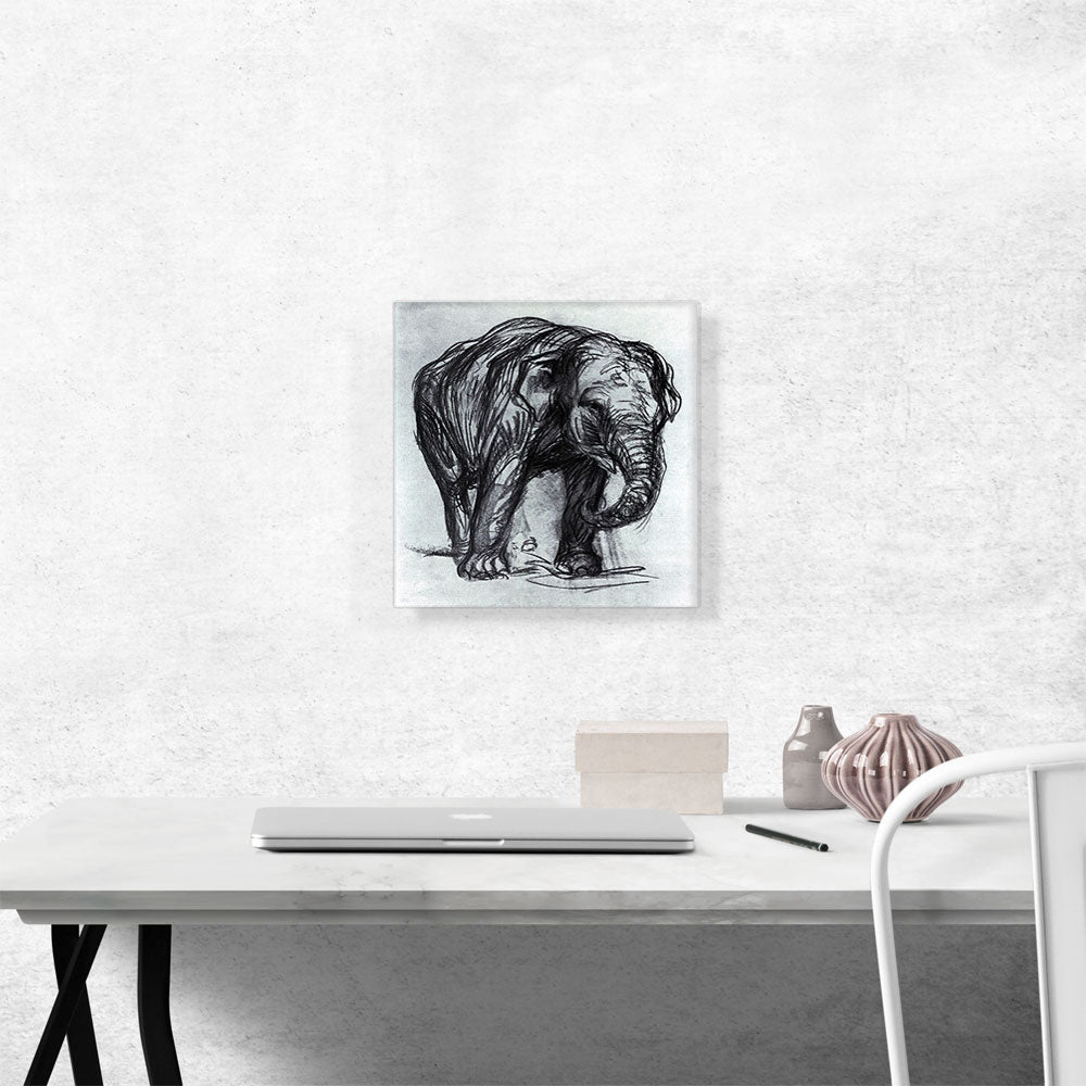 Elephant 1907