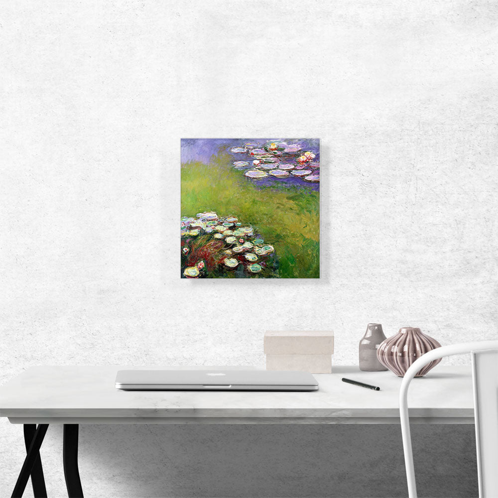 Waterlilies 1914-1917