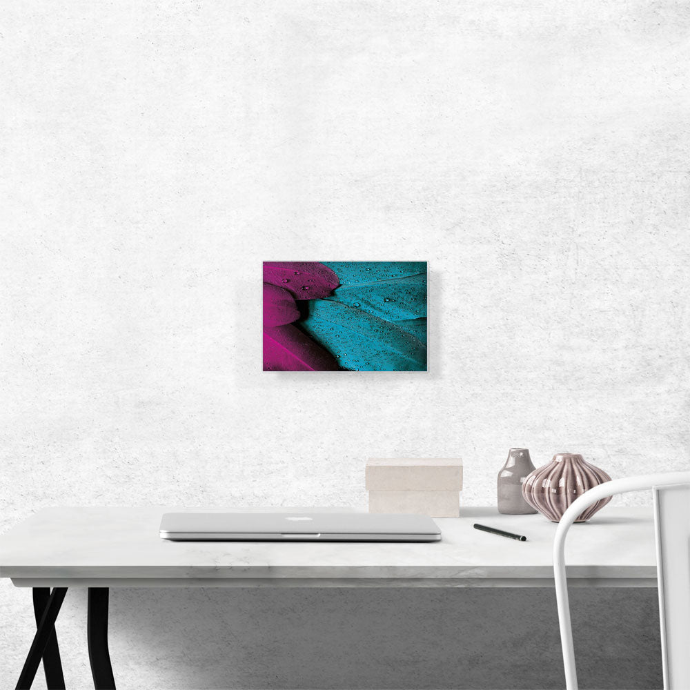 Drop Bird Texture Home decor