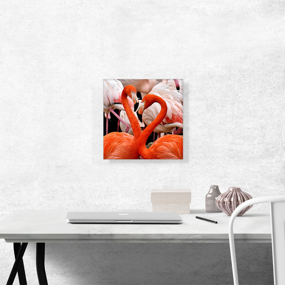 Flamingos Home Decor Square