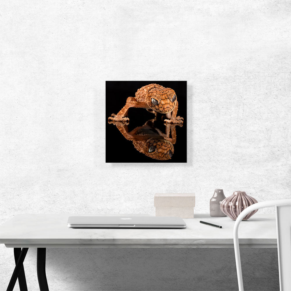 Gecko Home decor