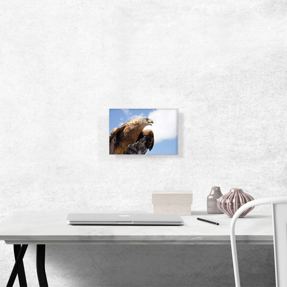Golden Eagle Home Decor