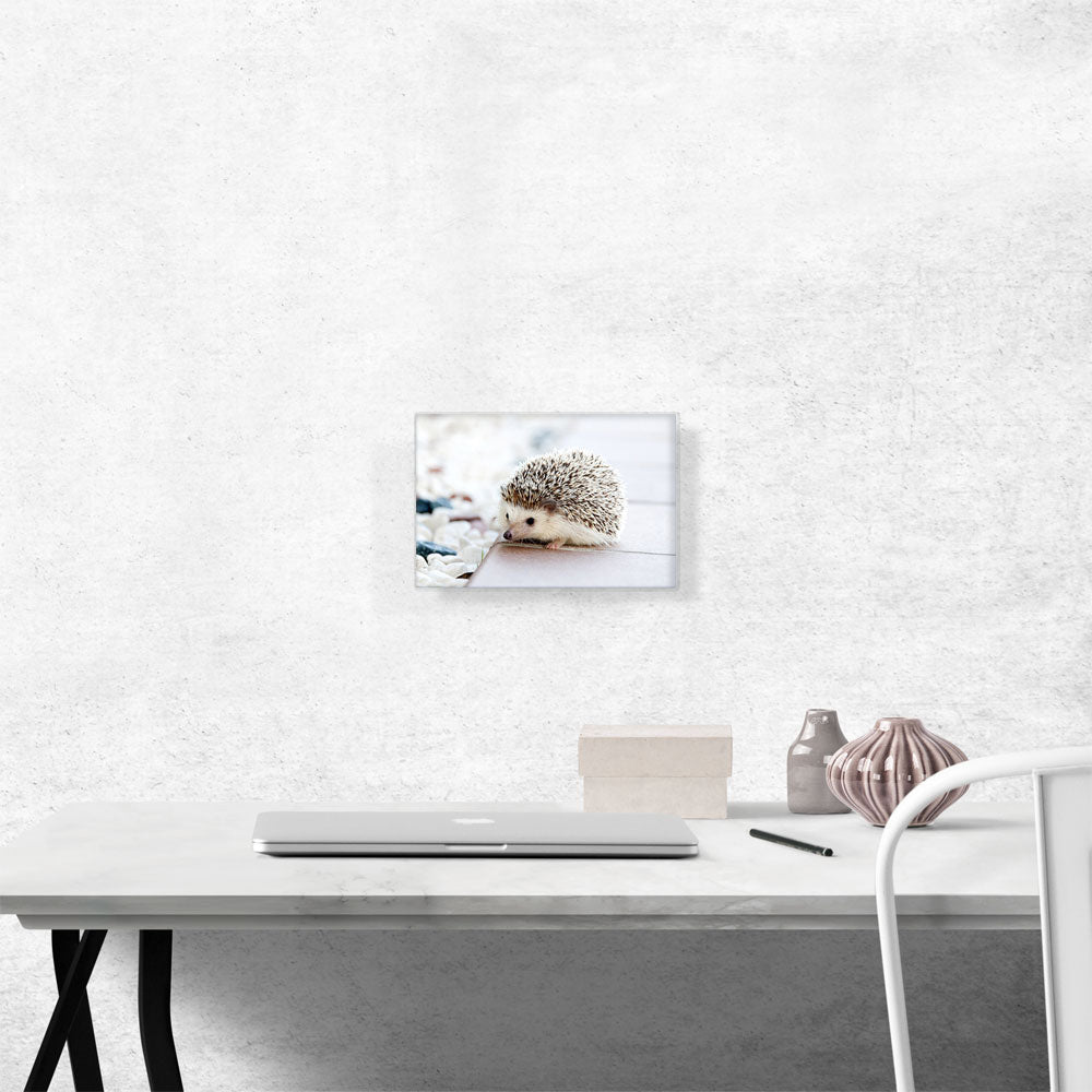 Hedgehog Home Decor Rectangle