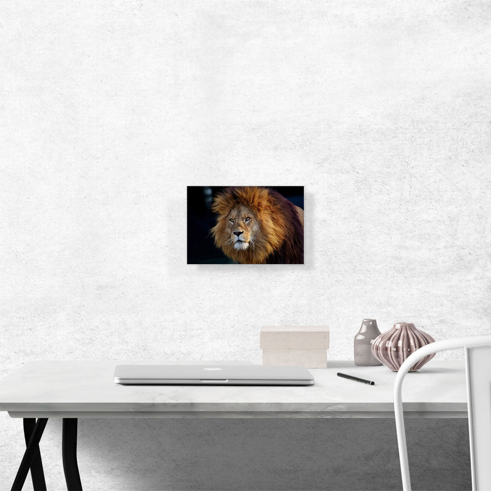 Lion Home Decor Rectangle