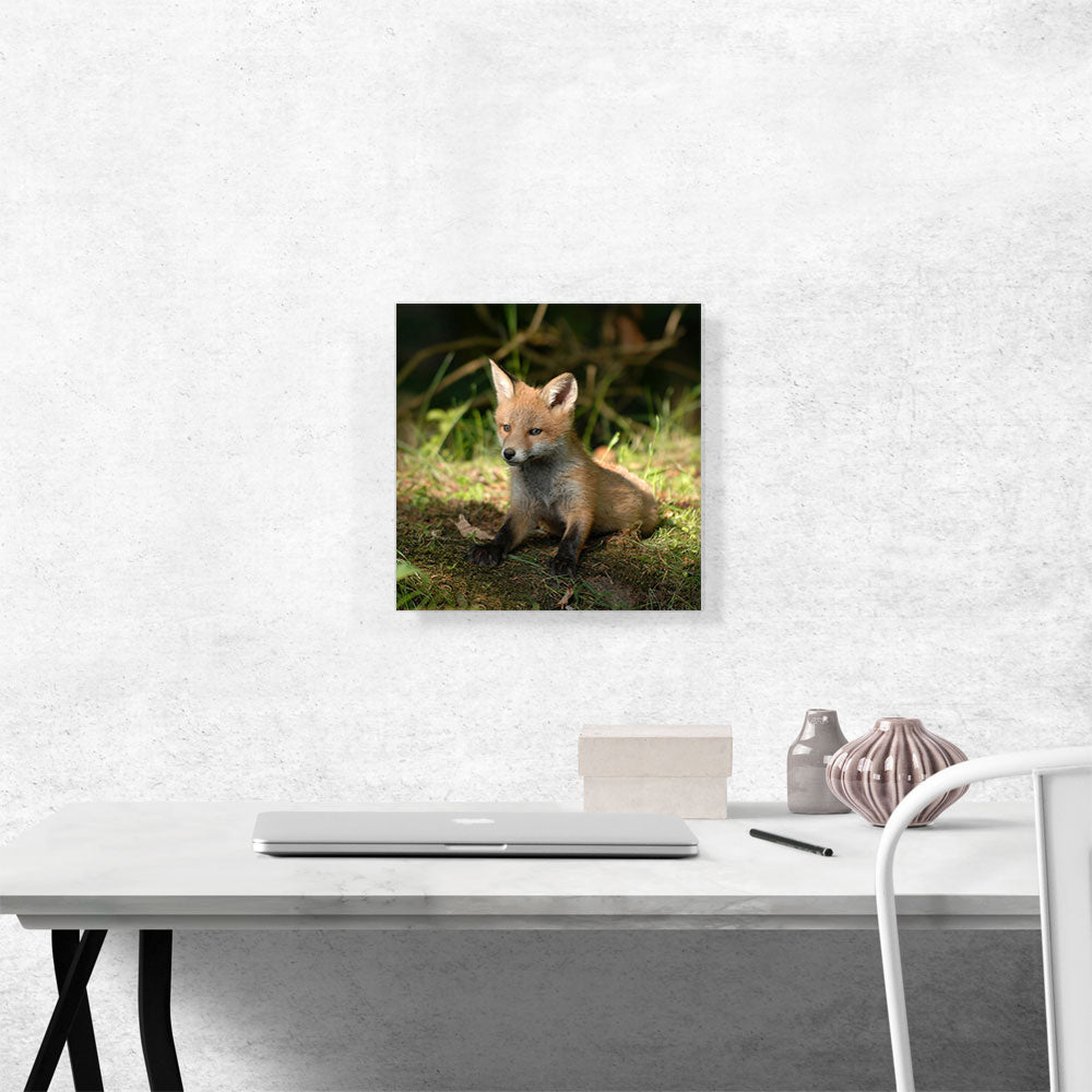 Little Fox In Forest Home decor