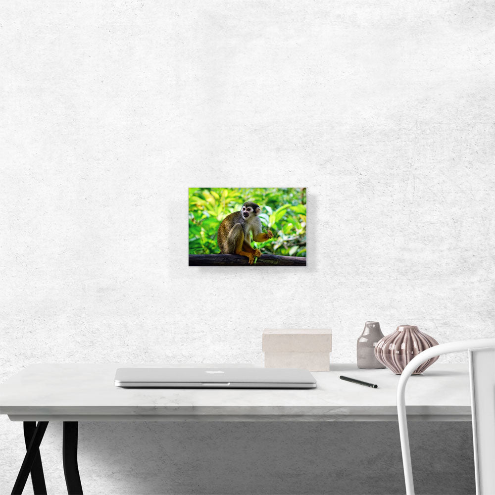 Monkey In The Jungle Home decor
