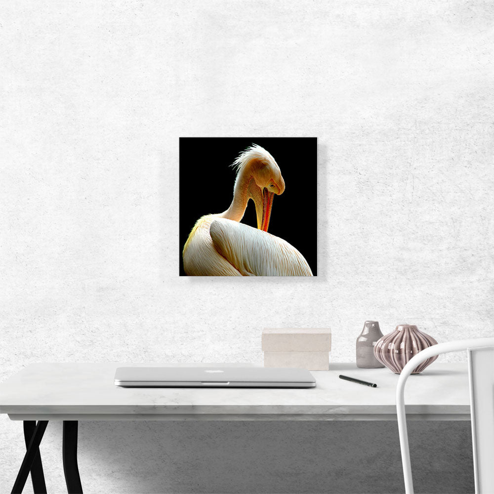 Pelican Home decor