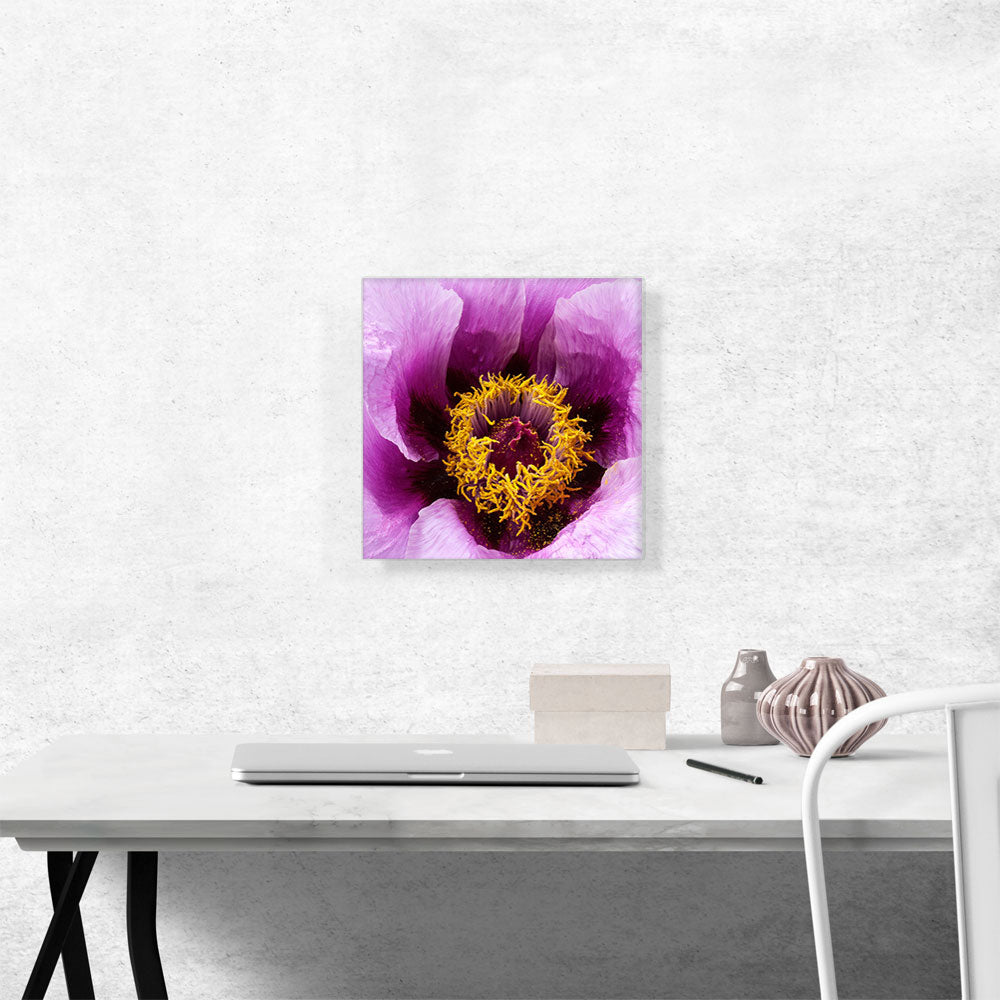 Peony Flower Home Decor Square