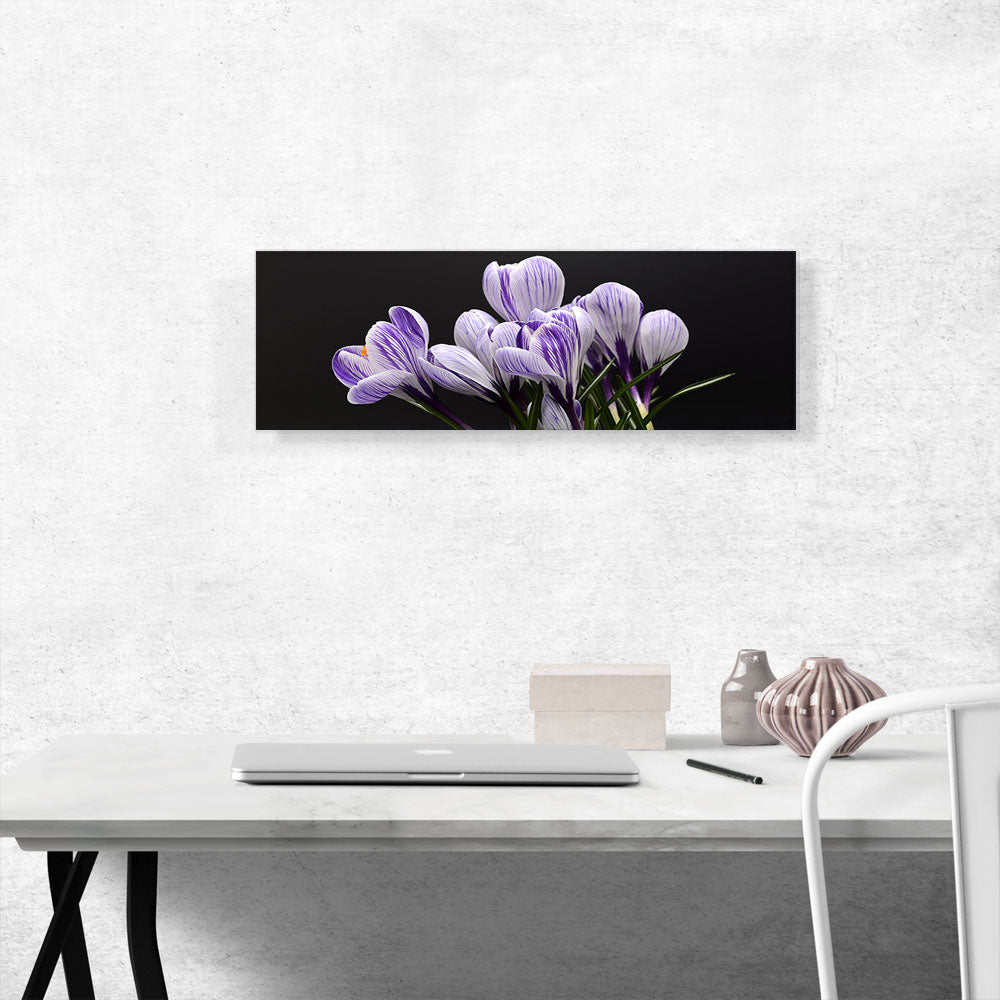 Purple Crocus Home Decor