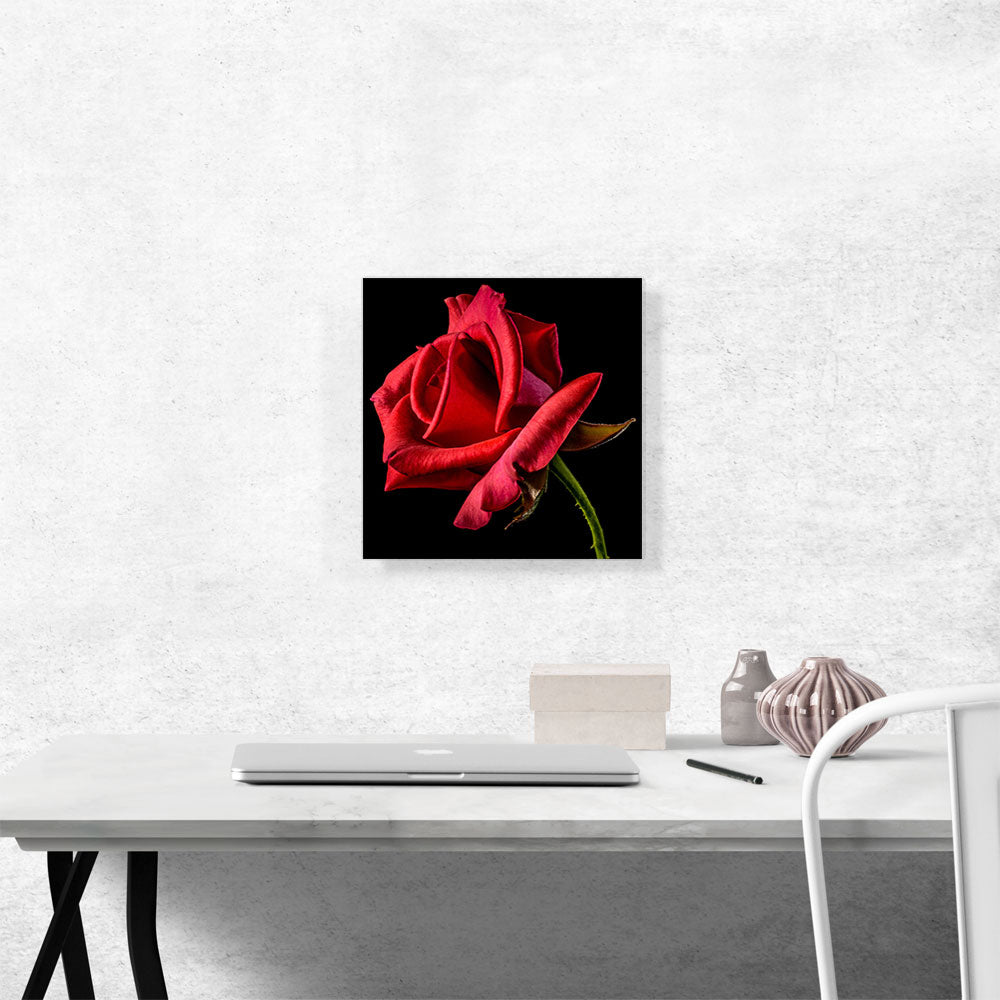 Red Rose Home decor