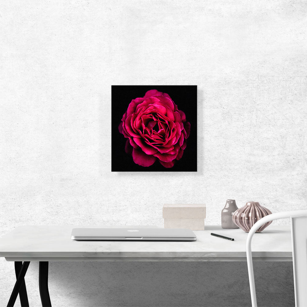 Rose Paint Home decor