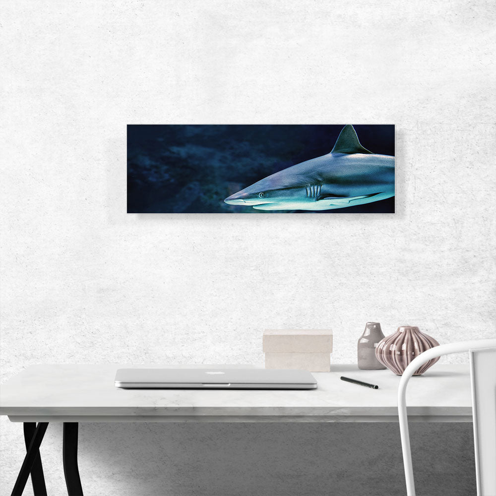 Shark In Ocean Home Decor Panoramic