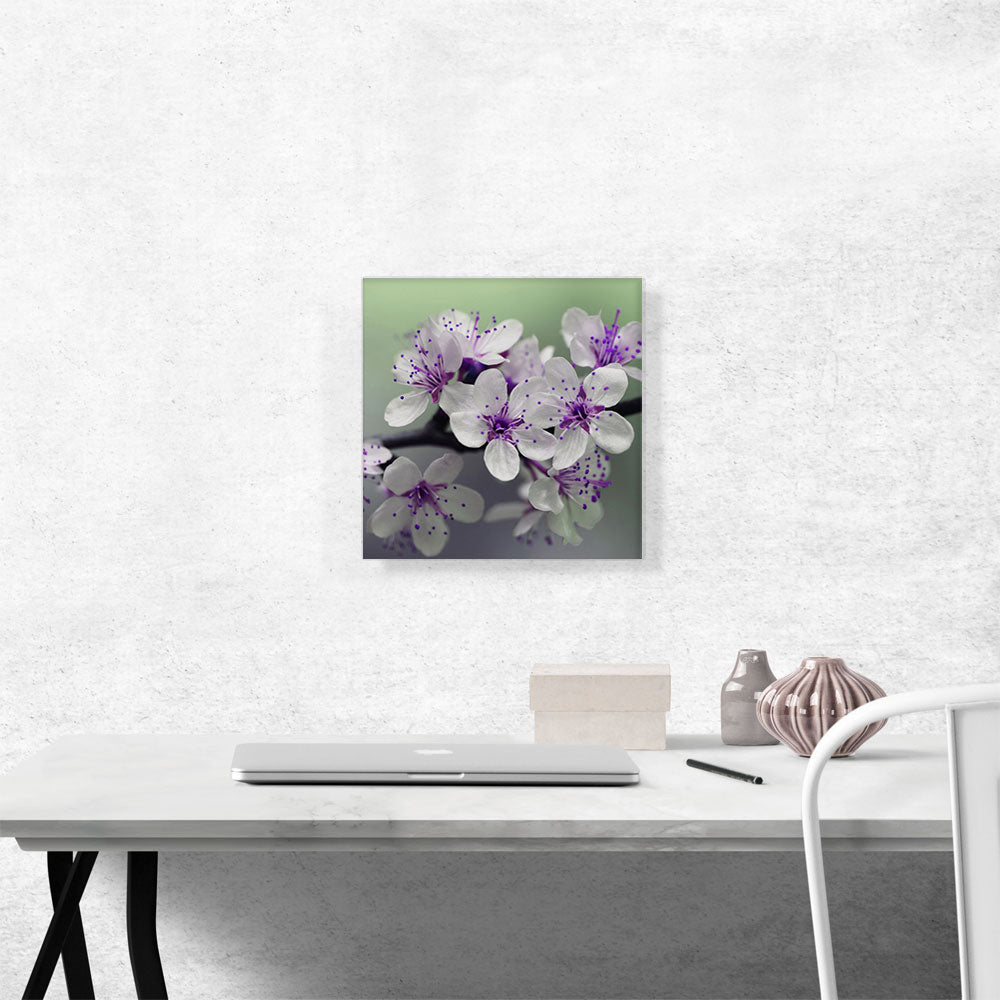 Spring Blossom Flower Square