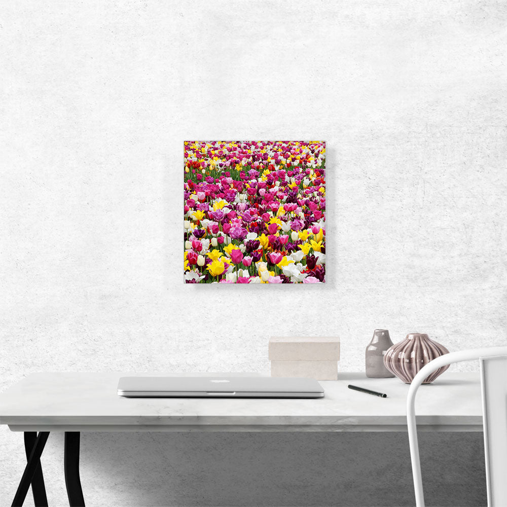 Tulips Pattern Home Decor Square
