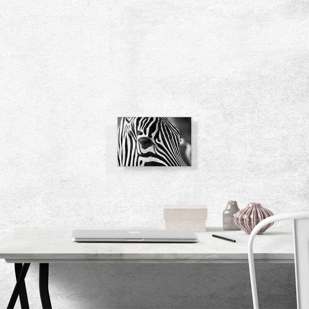 Zebra Face Home Decor