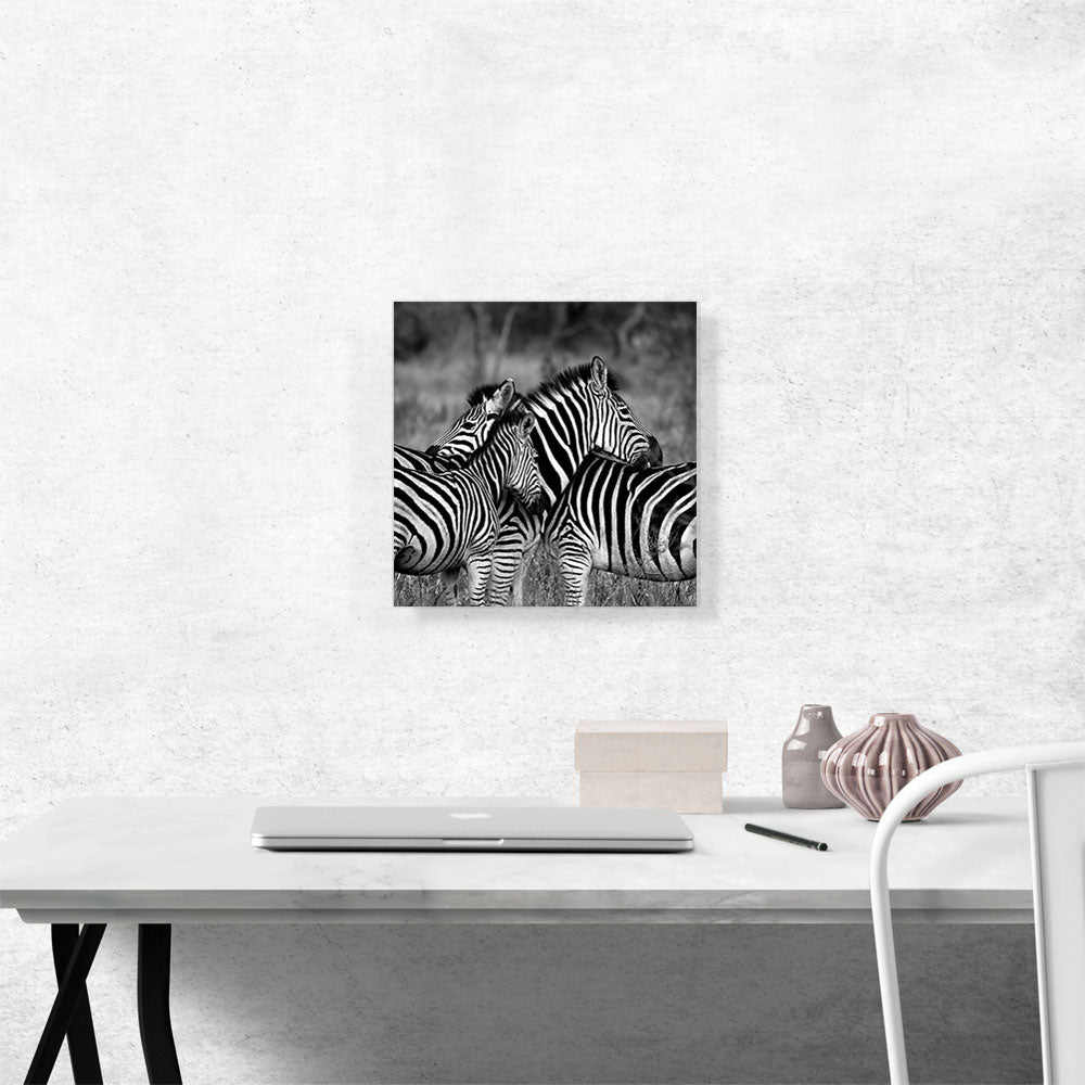 Zebras Home Decor Square