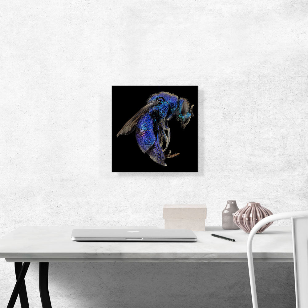 Blue Wasp Insect Home decor