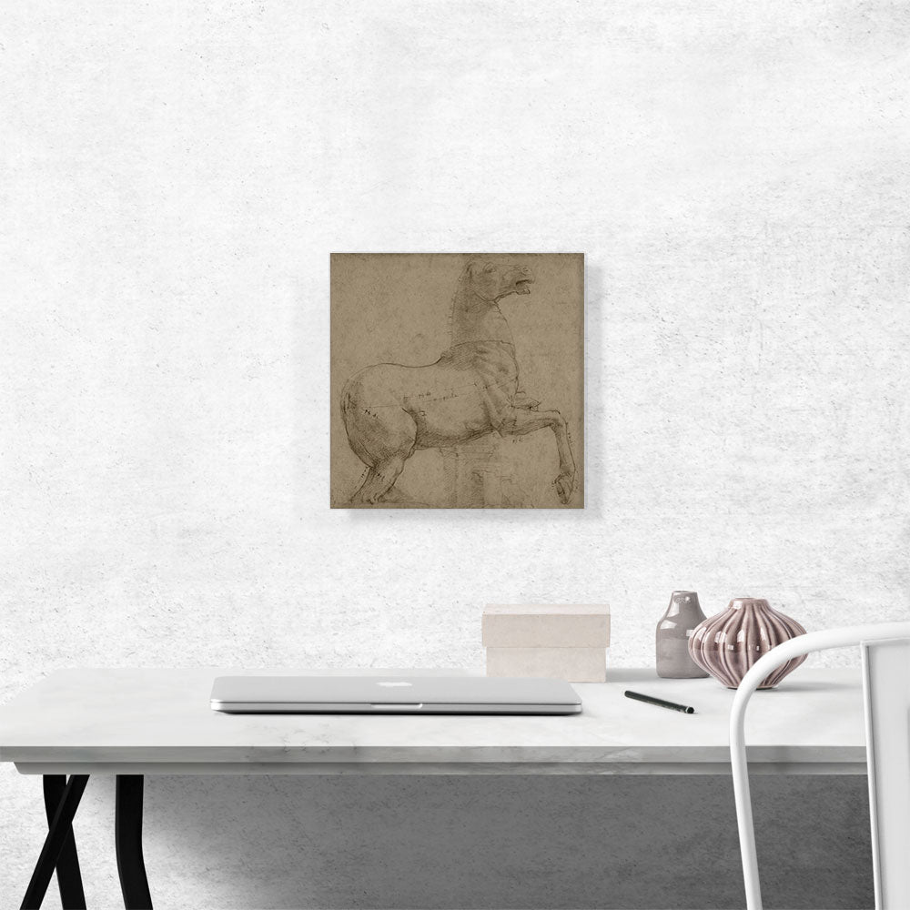 A Marble Horse on the Quirinal Hill 1513