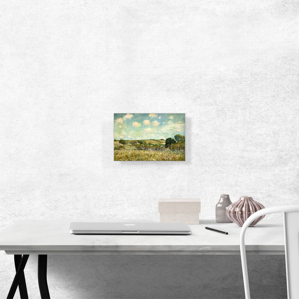 Meadow 1875