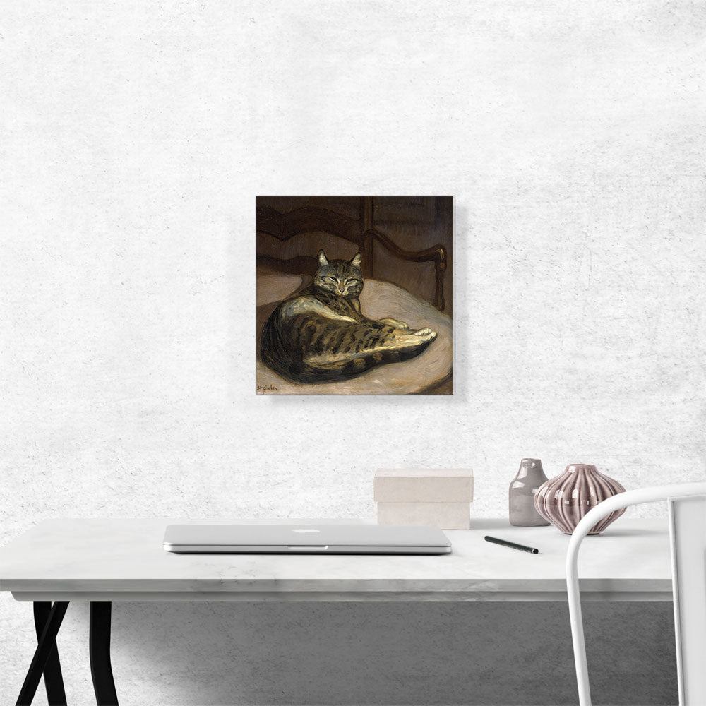 Cat on a Chair 1900