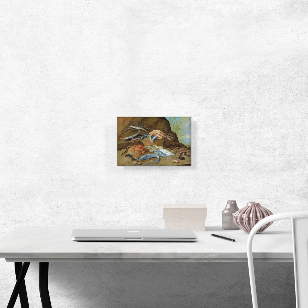Fish And Shellfish On a Shore