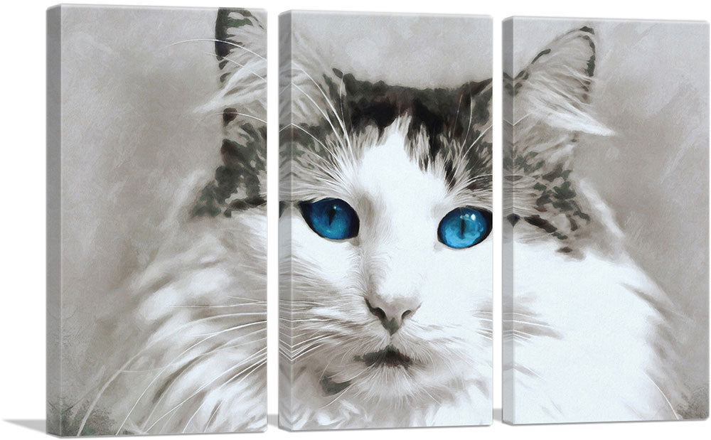 Ragdoll Cat Breed Blue Eyes