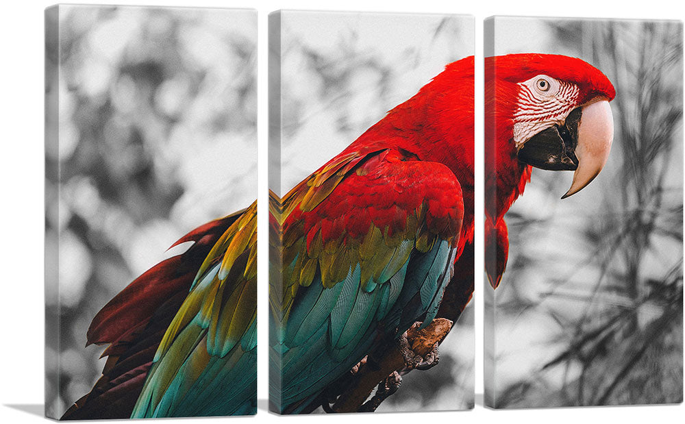 3-panel