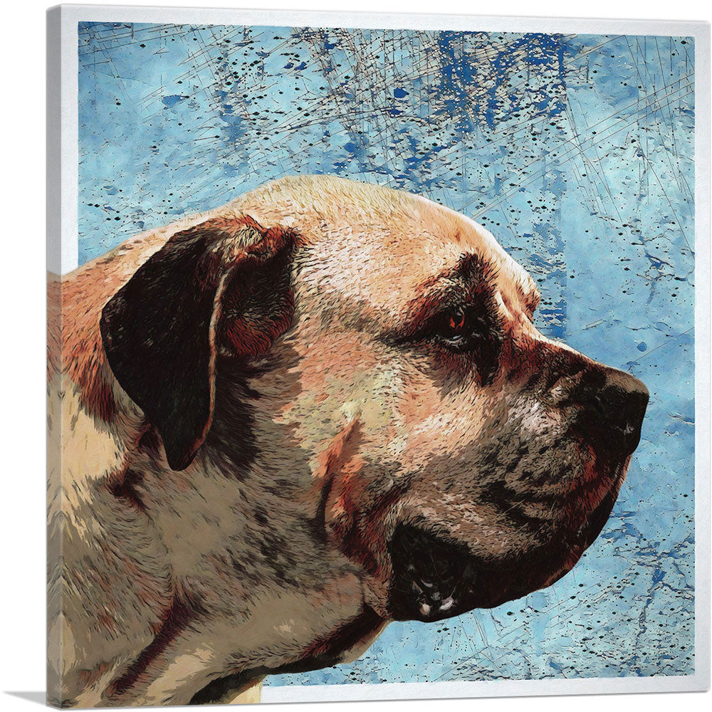 English Mastiff Dog Breed