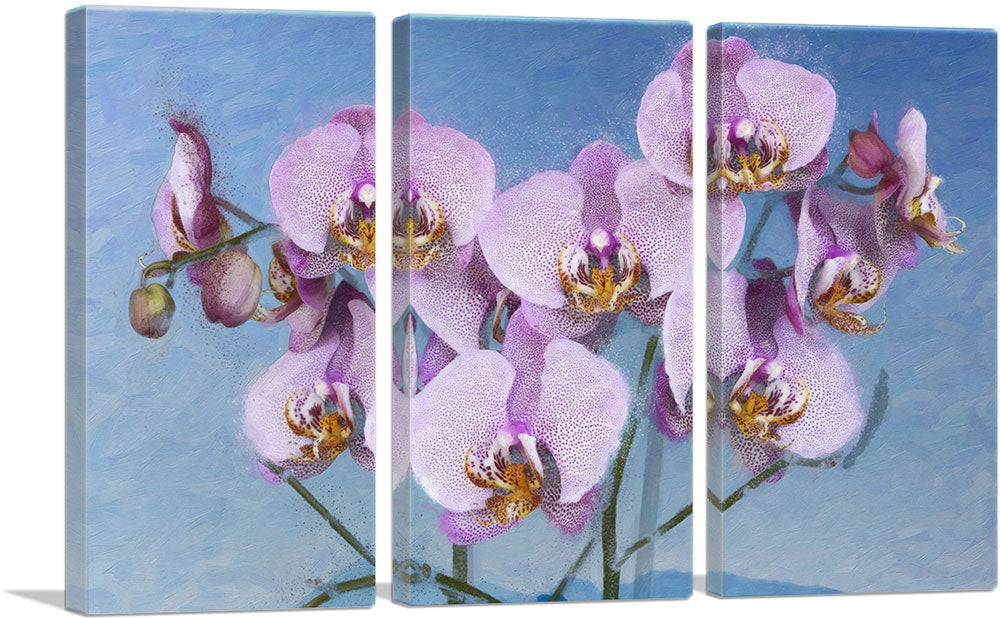 3-panel