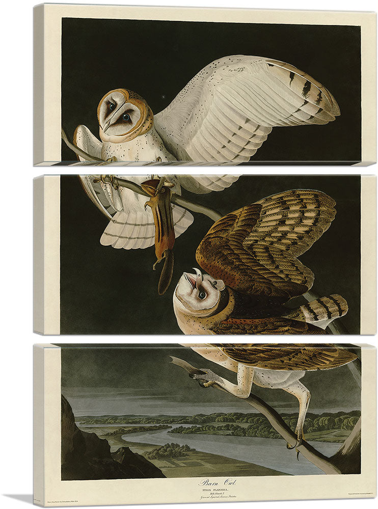 3-panel