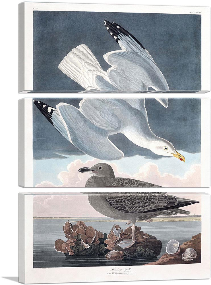 3-panel