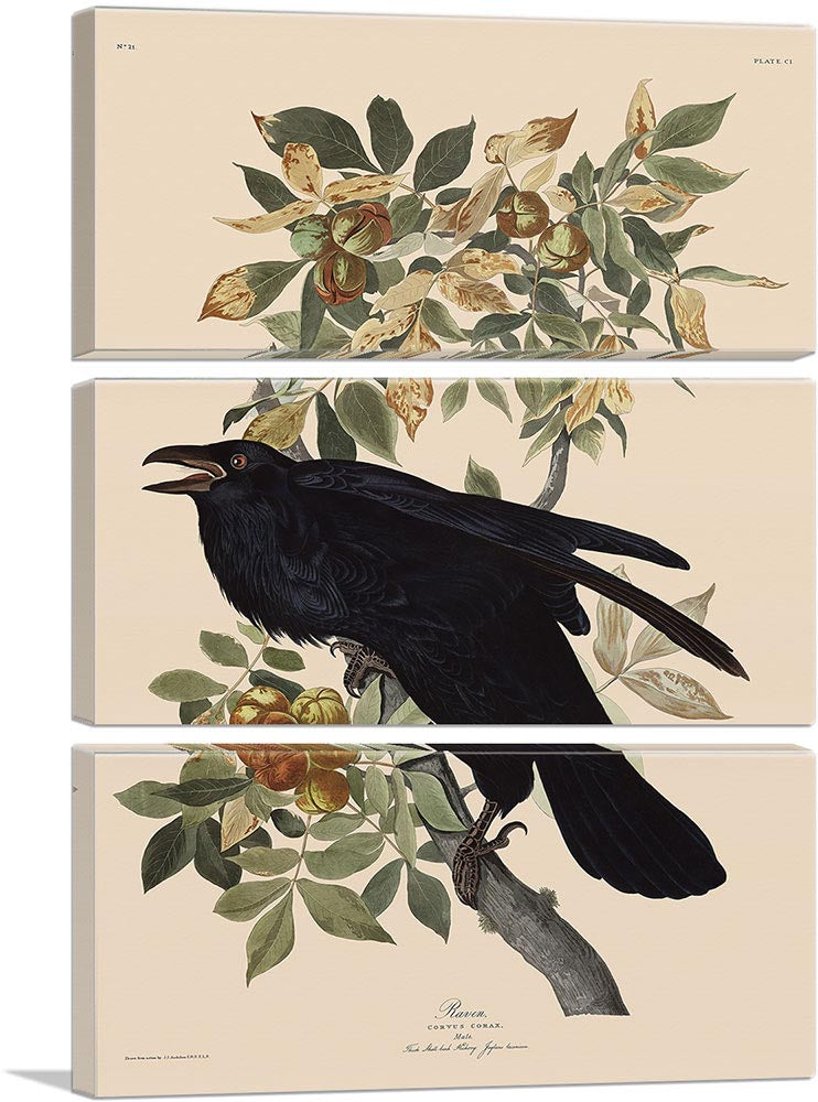 3-panel