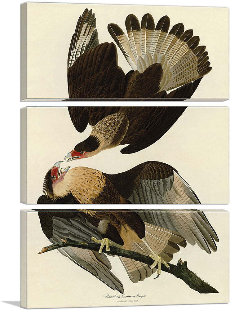 3-panel