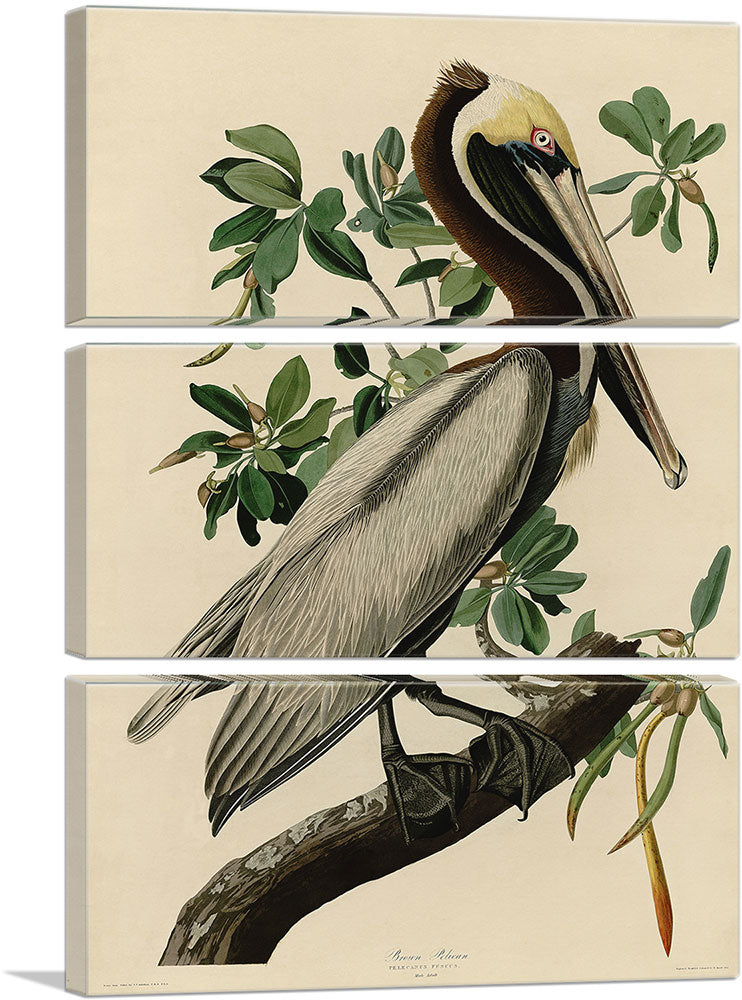 3-panel