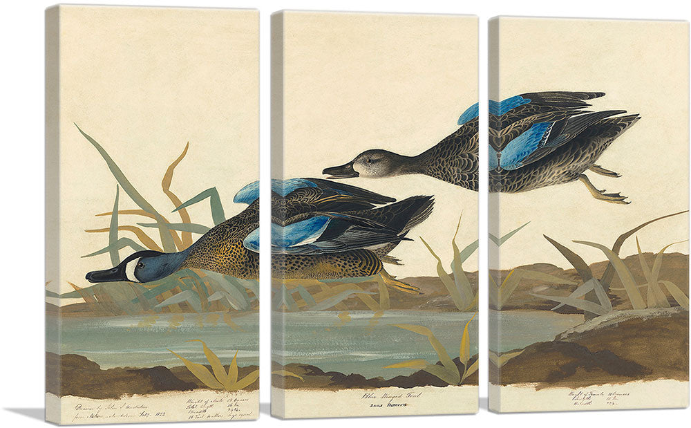 3-panel