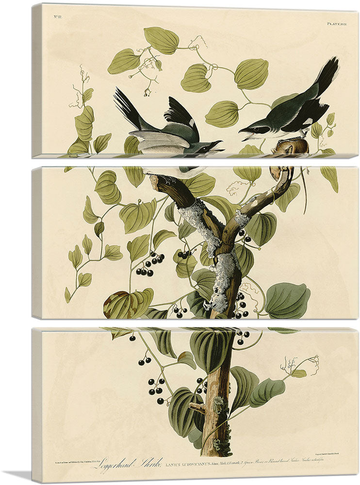 3-panel