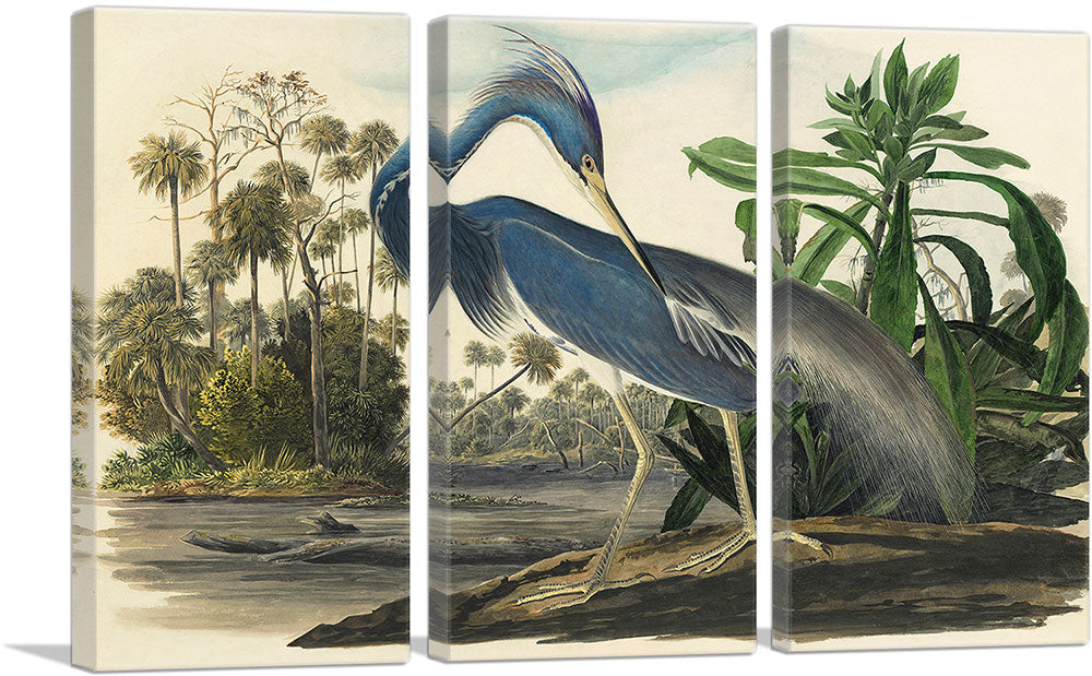 3-panel