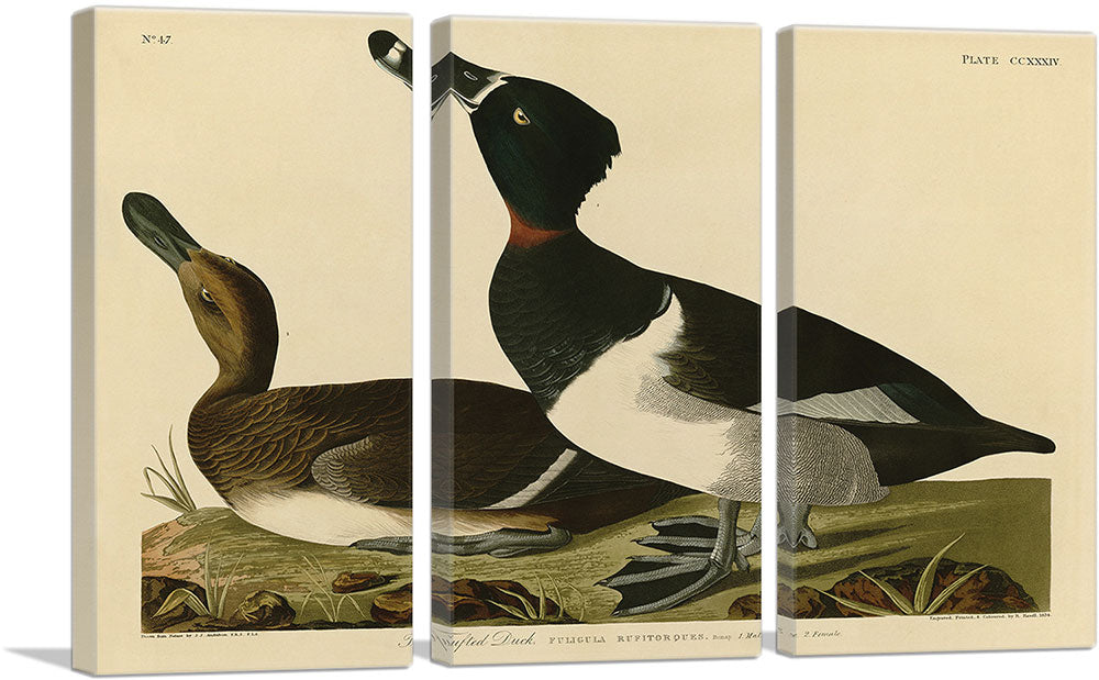 3-panel