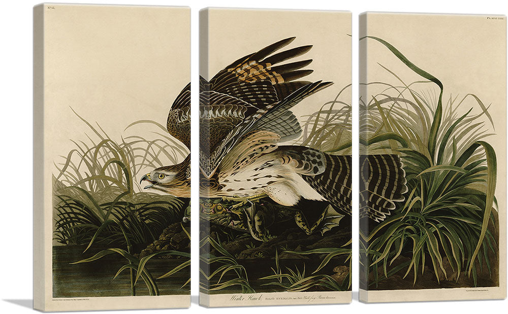 3-panel