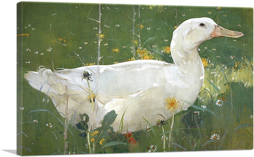 The White Drake 1895