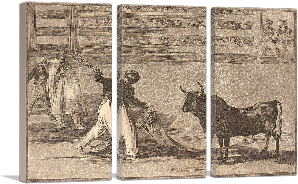 Origin of the Harpoons or Banderillas 1816