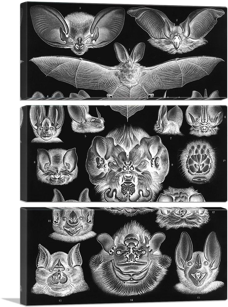 3-panel