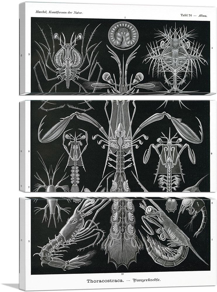 3-panel