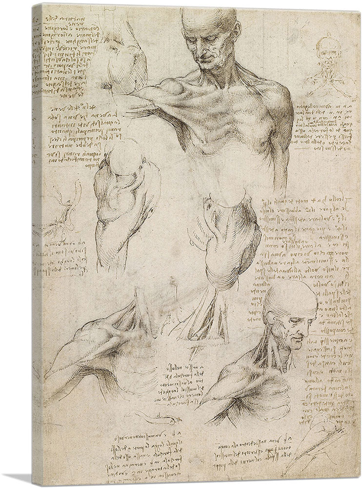 1-panel